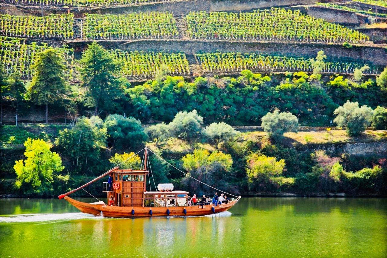 Solar Do Douro Villa Santa Cruz do Douro Luaran gambar